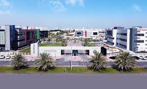 الجامعة الأمريكية في رأس الخيمة