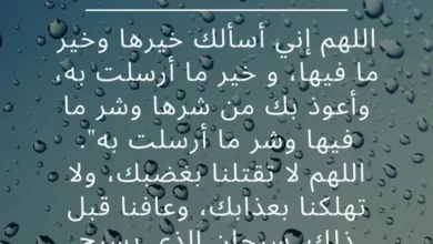 دعاء عند نزول المطر
