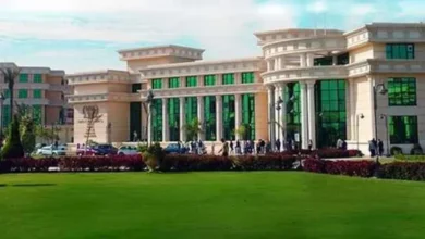 مصاريف و تنسيق كليات جامعة مصر الدولية