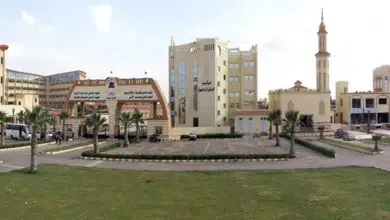 مصاريف معهد ايجوث الإسكندرية