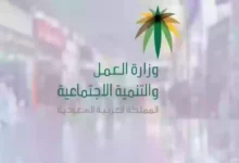 نقل الكفالة في النظام الجديد