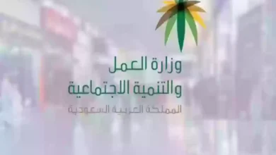 نقل الكفالة في النظام الجديد