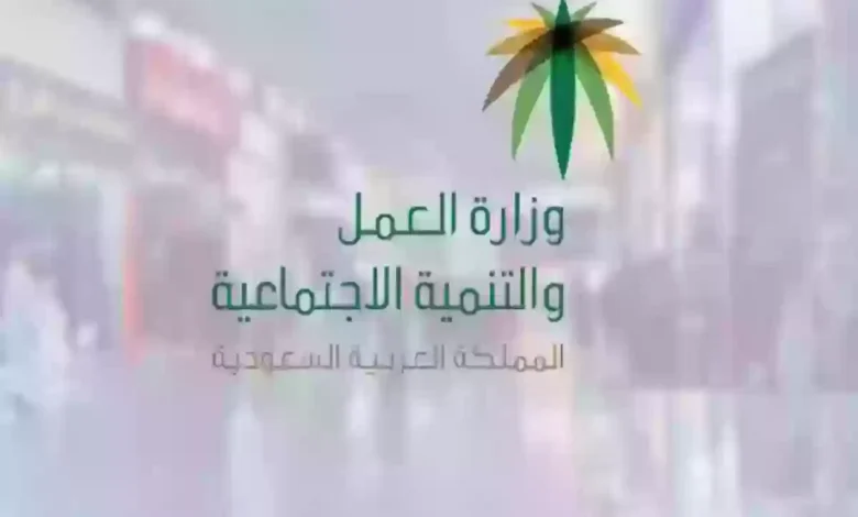 نقل الكفالة في النظام الجديد