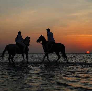 ركوب الخيل