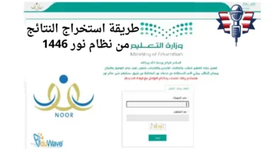 استخراج النتائج من نظام نور ١٤٤٦