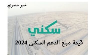 قيمة مبلغ الدعم السكني لشهر نوفمبر 2024