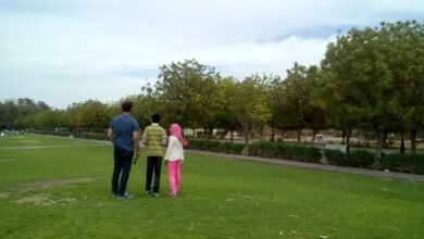 معلومات عن حديقة الحليو عجمان (الحميدية)
