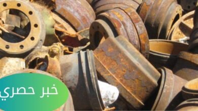 سعر كيلو الزهر الخردة اليوم