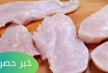 سعر كيلو البانية اليوم