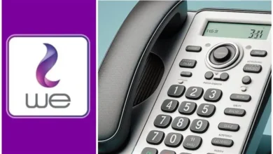 فاتورة التليفون الأرضي ديسمبر 2024