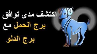 توافق الحمل مع الدلو