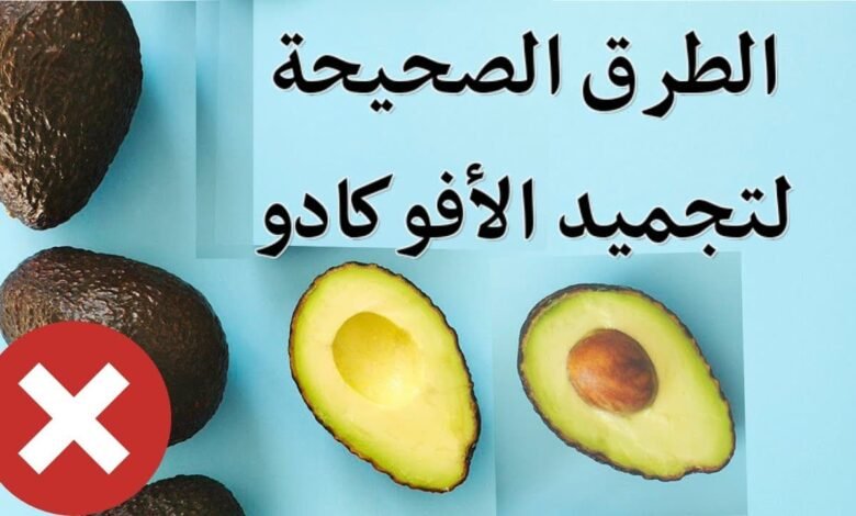 طريقة حفظ الافوكادو في الفريزر