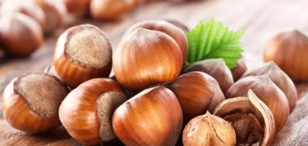 فوائد البندق الأخرى