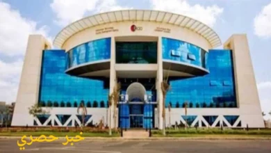 الجامعات والكليات التكنولوجية الحديثة في مصر