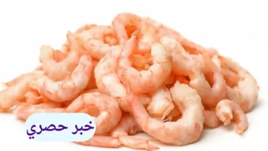 سعر كيلو الجمبري في مصر اليوم
