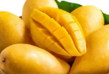 تفسير رؤية المانجو في المنام