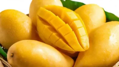 تفسير رؤية المانجو في المنام