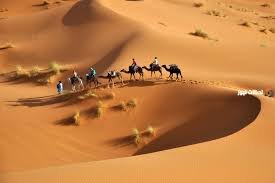311 رمز قبيلة ايش