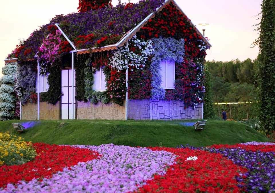 حديقة الزهور بالمدينة المنورة