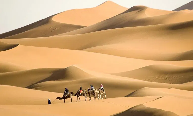 311 رمز قبيلة ايش
