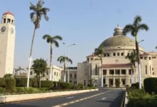 كورس التويفل في جامعة القاهرة
