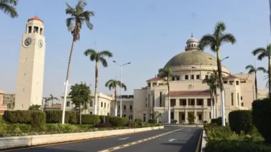 كورس التويفل في جامعة القاهرة