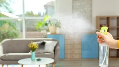 وداعًا للمعطرات الصناعية طرق طبيعية لتعطير منزلك بشكل دائم وبسيط