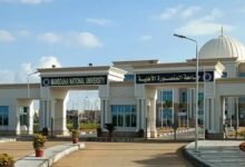 من المنصورة إلى مانشستر إطلاق برنامج Pharm D بشراكة أكاديمية فريدة