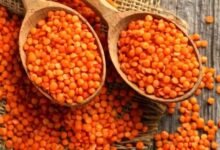 هل العدس آمن؟ طباخ مشهور يكشف عن سم قاتل وكيف تعرفه قبل أن يدخل بيتك