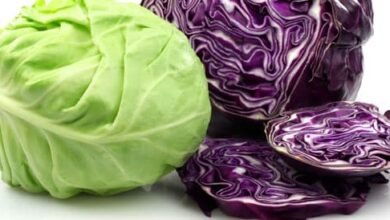 الطريقة السحرية لسلق الكرنب بدون ماء اسرار الطهاة في مطبخك