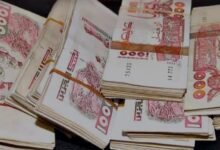 التسجيل في منحة البطالة بالجزائر والحصول على ٨٠٠ دينار فوري