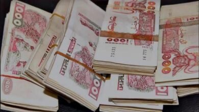 التسجيل في منحة البطالة بالجزائر والحصول على ٨٠٠ دينار فوري